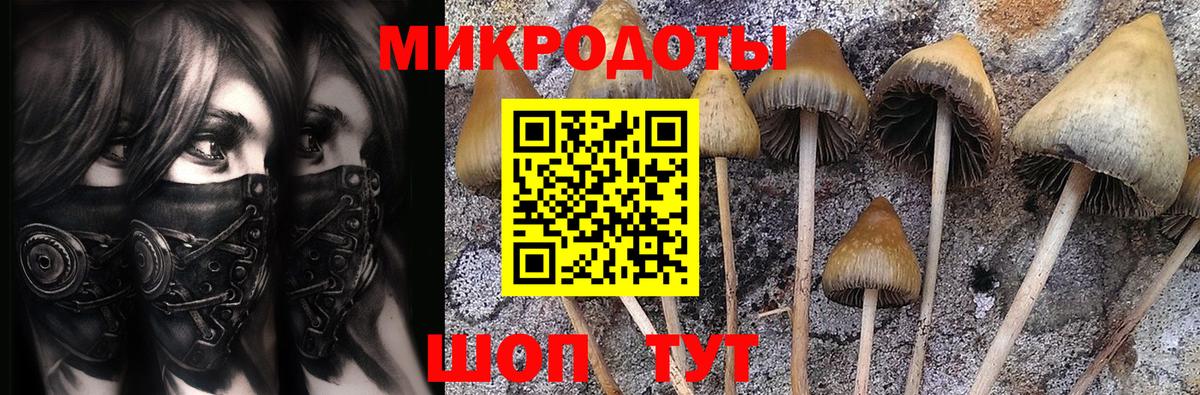 Галлюциногенные грибы Magic Shrooms Губаха